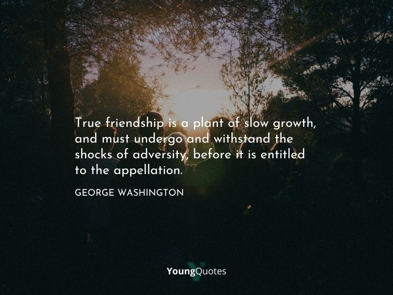 True friendship is a plant of slow growth, and must undergo and withstand the shocks of adversity, before it is entitled to the appellation. — George Washington