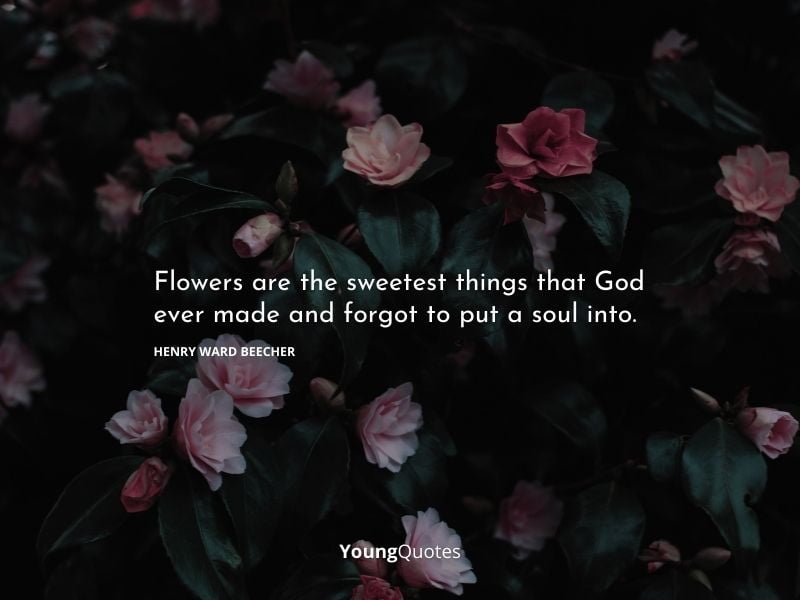 Flowers are the sweetest things that God ever made and forgot to put a soul into. – Henry Ward Beecher