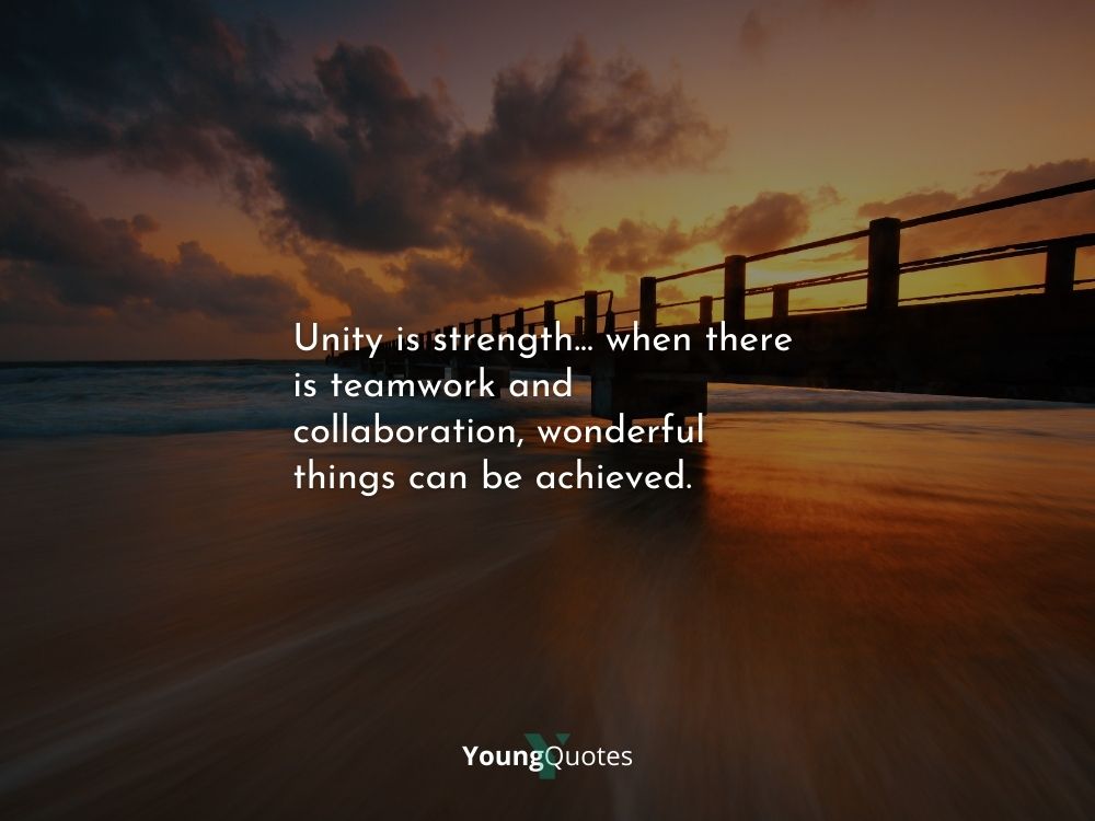 Unity is strength… when there is teamwork and collaboration, wonderful things can be achieved.