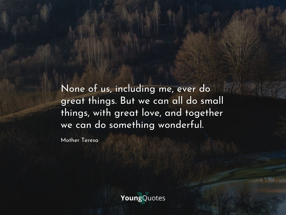 None of us, including me, ever do great things. But we can all do small things, with great love, and together we can do something wonderful. – Mother Teresa