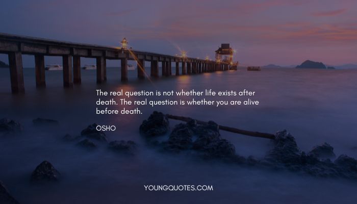 The real question is not whether life exists after death. The real question is whether you are alive before death.