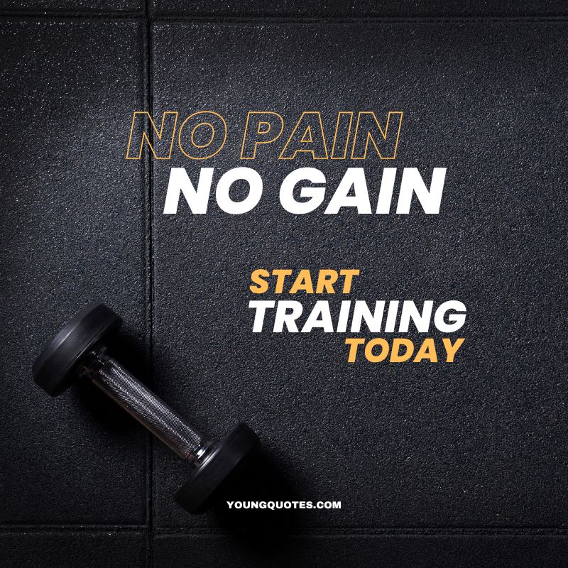 Short gym quotes - No pain, no gain.