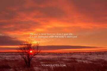 Krishna Quotes in English - The soul is never born nor does it ever die. It is not destroyed when the body is destroyed